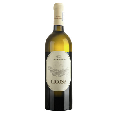 Il Colle del Corsicano Licosa Fiano Cilento 2022