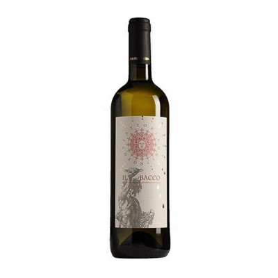 Verdicchio dei Castelli di Jesi Il Bacco Fattoria Il Coroncino 2019