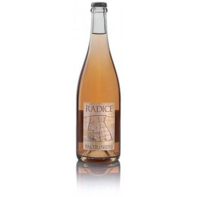 Lambrusco di Sorbara Frizzante Secco DOC Radice 2019- Paltrinieri