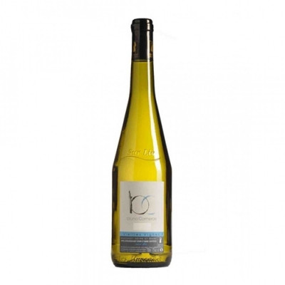 Muscadet Sèvre et Maine sur lie Vielles Vigne Bruno Cormerais 2020