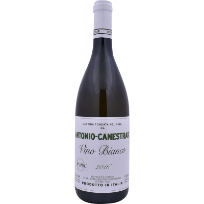 Verdicchio dei Castelli di Jesi Classico Superiore Antonio Canestrari 2016