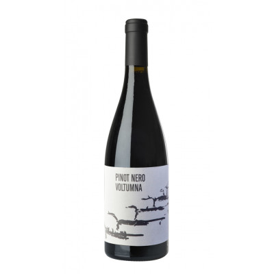 Pinot Nero Voltumna 2015