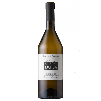 Pinot Grigio Collio Colle Duga 2022