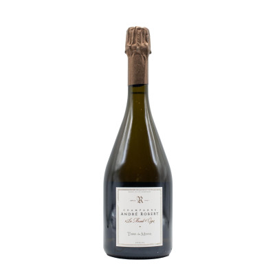 Champagne André Robert Terre Du Mesnil 2013 Extra Brut Grand Cru