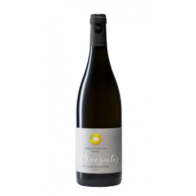 Pinot Bianco Praesulis Gumphof 2021